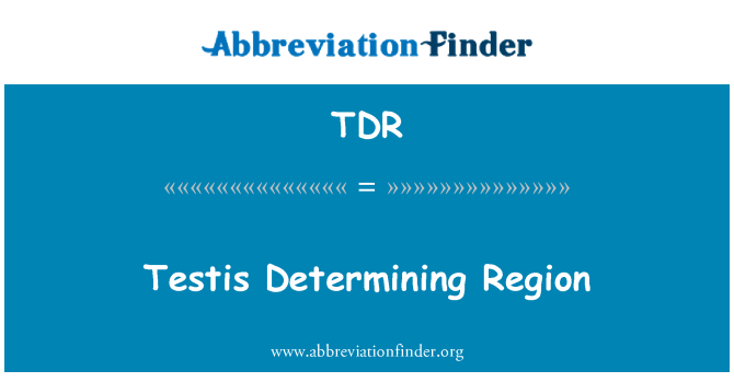 TDR: Тестисите определяне регион