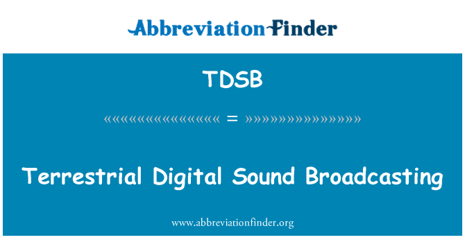 TDSB: Terrestrial Digital Sound Broadcasting