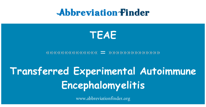 TEAE: Overført eksperimentelle Autoimmune Encephalomyelitis