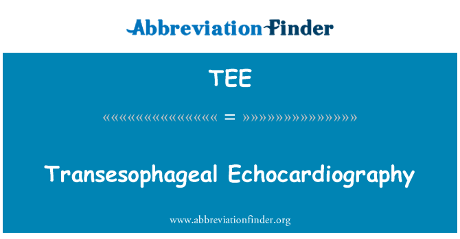 TEE: Transesophageal Echocardiography