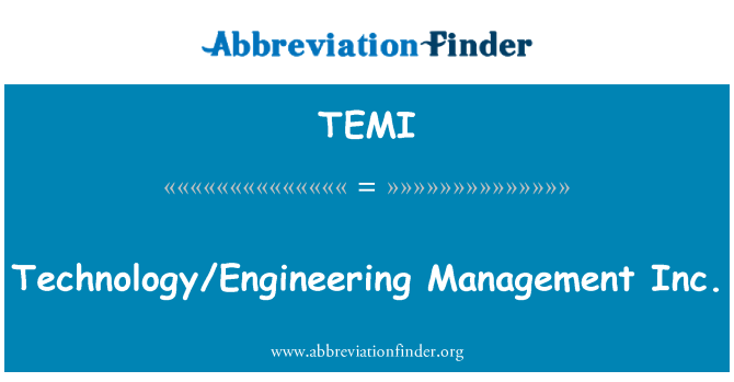 TEMI: Technology/Engineering Management Inc.