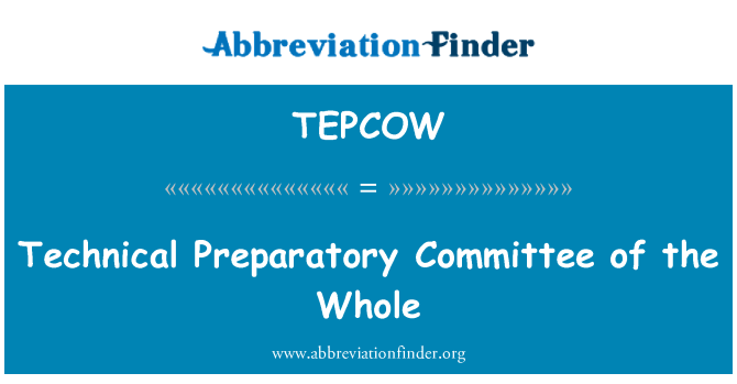 TEPCOW: Tecnico preparatorio Comitato del tutto