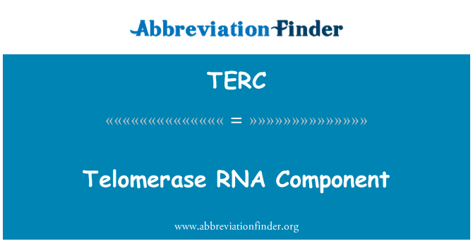 TERC: Telomerase-RNA-Komponente