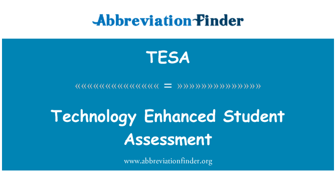 TESA: 技術增強學生評價