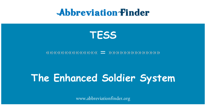 TESS: מערכת החייל המשופר