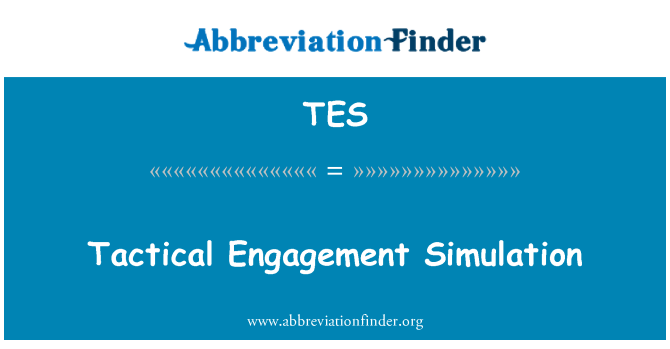 TES: Simulation tactique d'Engagement