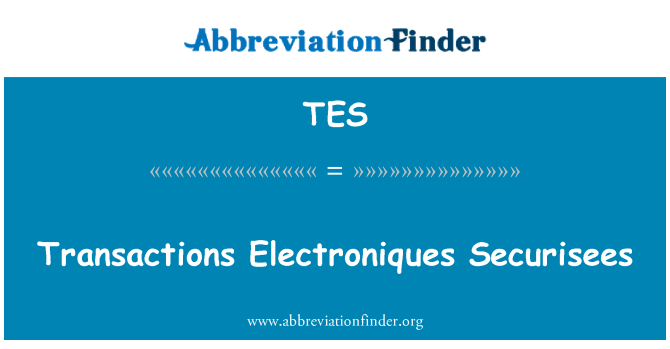 TES: Transaksi Electroniques Securisees