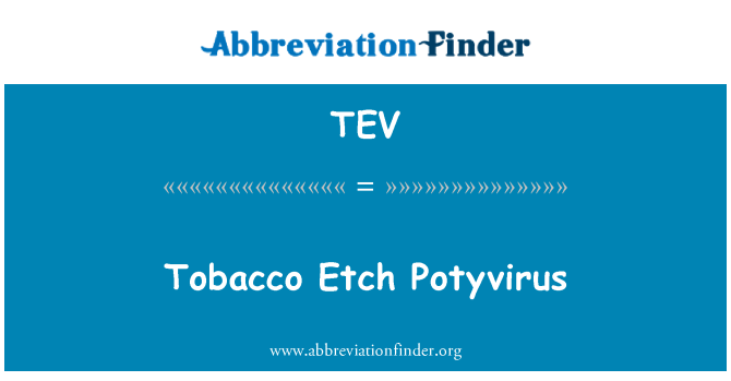 TEV: Tobak Etch Potyvirus