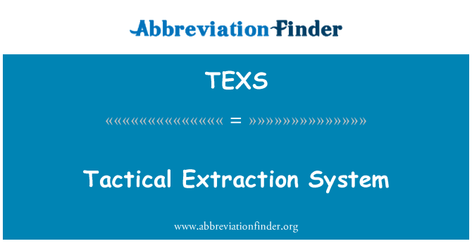 TEXS: استخراج گشتن سیستم
