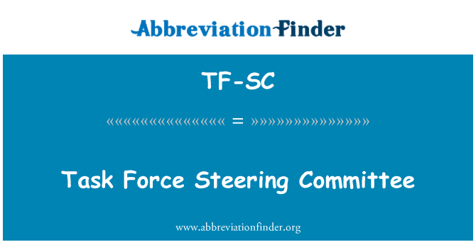 TF-SC: Taskforce-Lenkungsausschuss