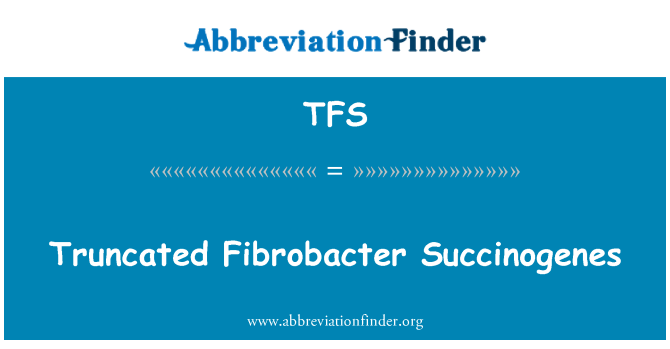 TFS: Dipendekkan Fibrobacter Succinogenes