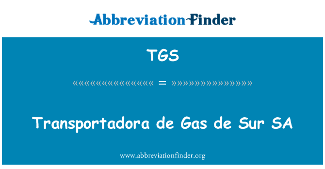 TGS: Transportadora de Gas de Sur SA