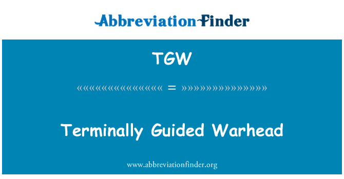 TGW: Testata terminalmente guidata