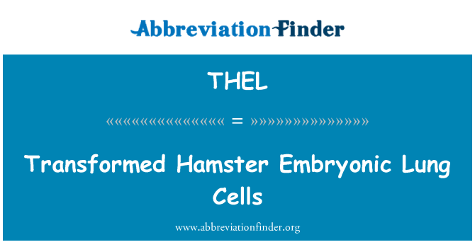 THEL: Preoblikovala hrček pljuč embrionalnih celic