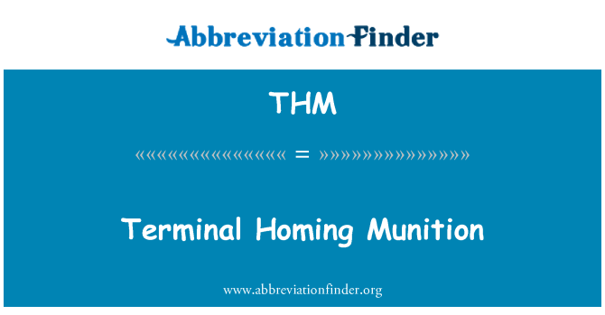 THM: Terminal Homing amunicyjny
