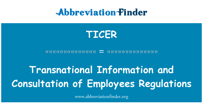 TICER: Transnationale Information et Consultation du règlement sur les employés