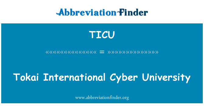 TICU: Tokai International Cyber University