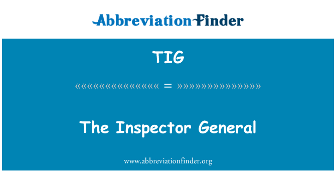 TIG: Yr arolygydd cyffredinol