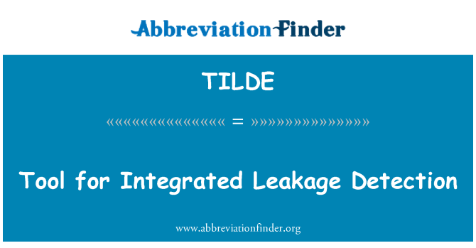 TILDE: Tool for Integrated Leakage Detection