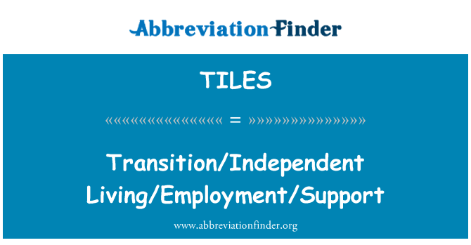 TILES: Transition/Independent Living/Employment/Support