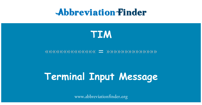 TIM: Terminal Input Message