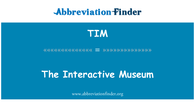 TIM: Interactive mize