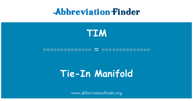 TIM: Manifoul avec