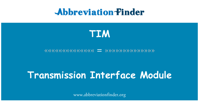 TIM: Module d'Interface de transmission