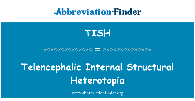 TISH: Telencephalic Heterotopia struktur Internal