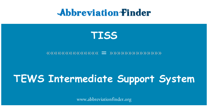 TISS: 印尼中间的支持系统