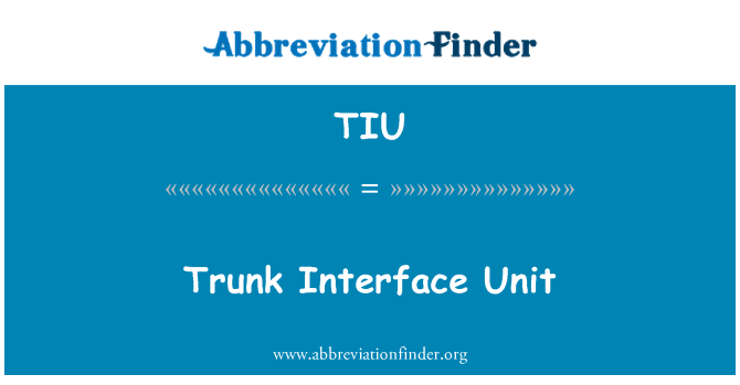 TIU: Unità ta ' l-Interface ta ' zokk