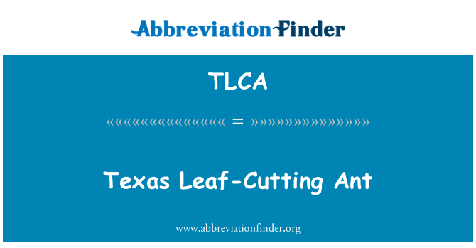 TLCA: Texas lokšņu griešanas Ant