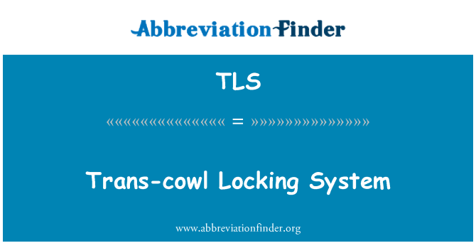 TLS: Sistema de travamento de trans-capuz