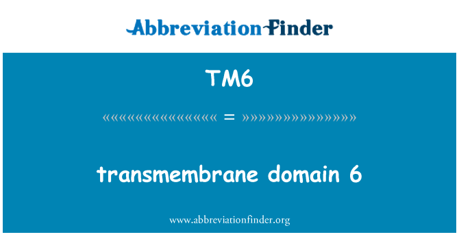 TM6: transmembraninių domenų 6