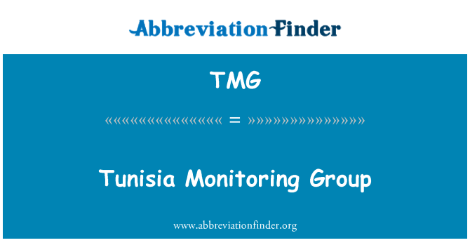 TMG: Gwoup Surveillance Tinizi
