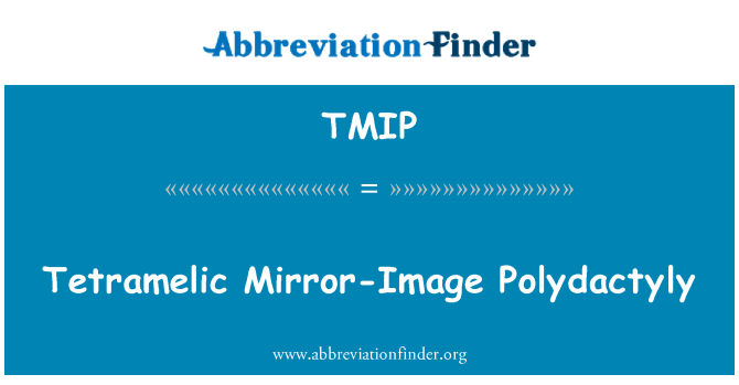TMIP: Tetramelic-zrcadlově polydaktylie