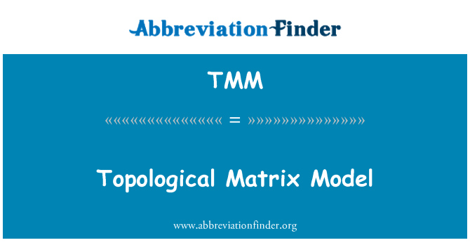 TMM: Топологическая матричная модель