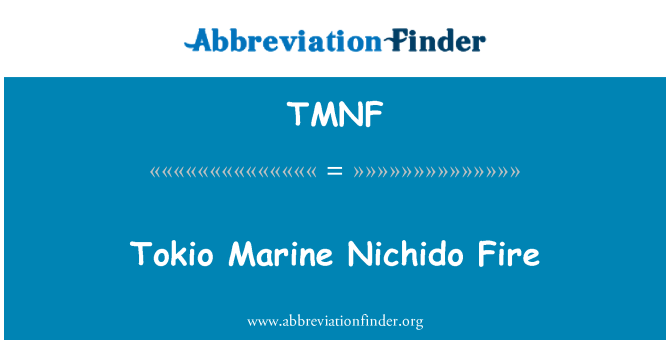 TMNF: Tokio deniz Nichido yangın