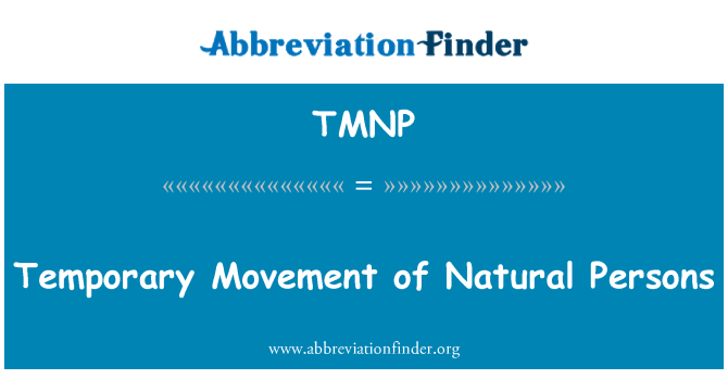 TMNP: A természetes személyek ideiglenes mozgásán