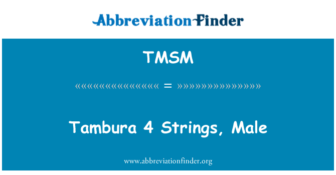 TMSM: Tambura 4 jouset, mies