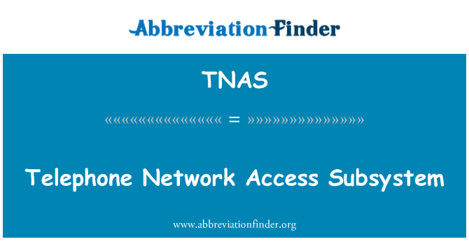 TNAS: Telephone Network Access Subsystem