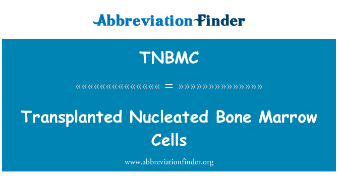 TNBMC: Transplanted Nucleated Bone Marrow Cells