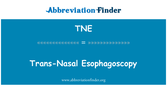 TNE: Trans nosa Esophagoscopy