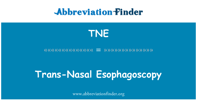 TNE: Esophagoscopy trans-nazal