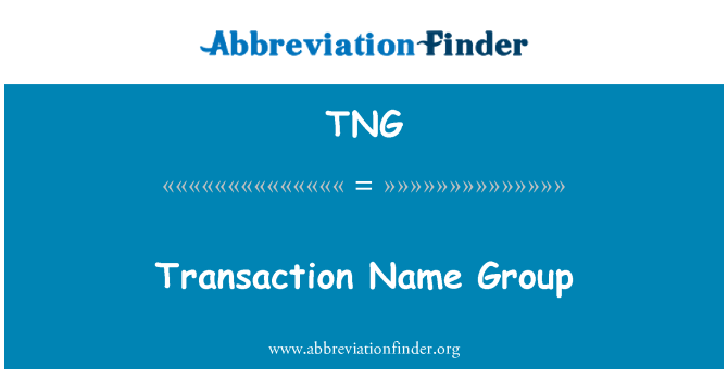 TNG: Namn transaktionsgruppen