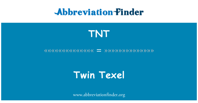 TNT: Двойна Texel