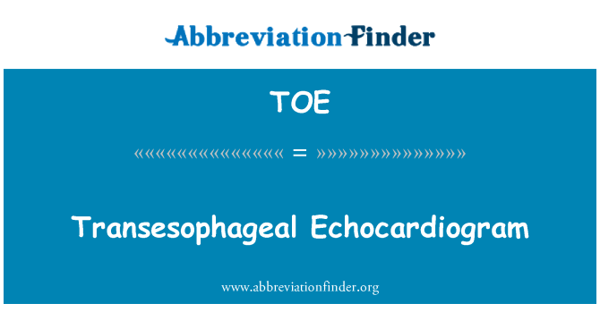 TOE: Transesophageal Echocardiogram