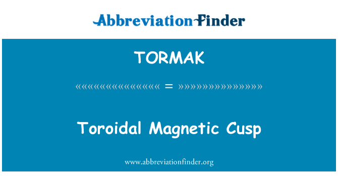 TORMAK: Toroidal magnetiske spiss