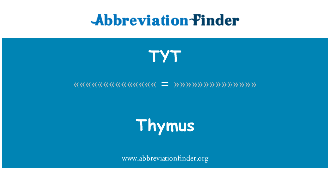 TYT: Thymus