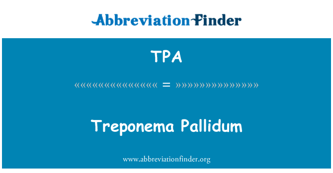 TPA: Treponema Pallidum